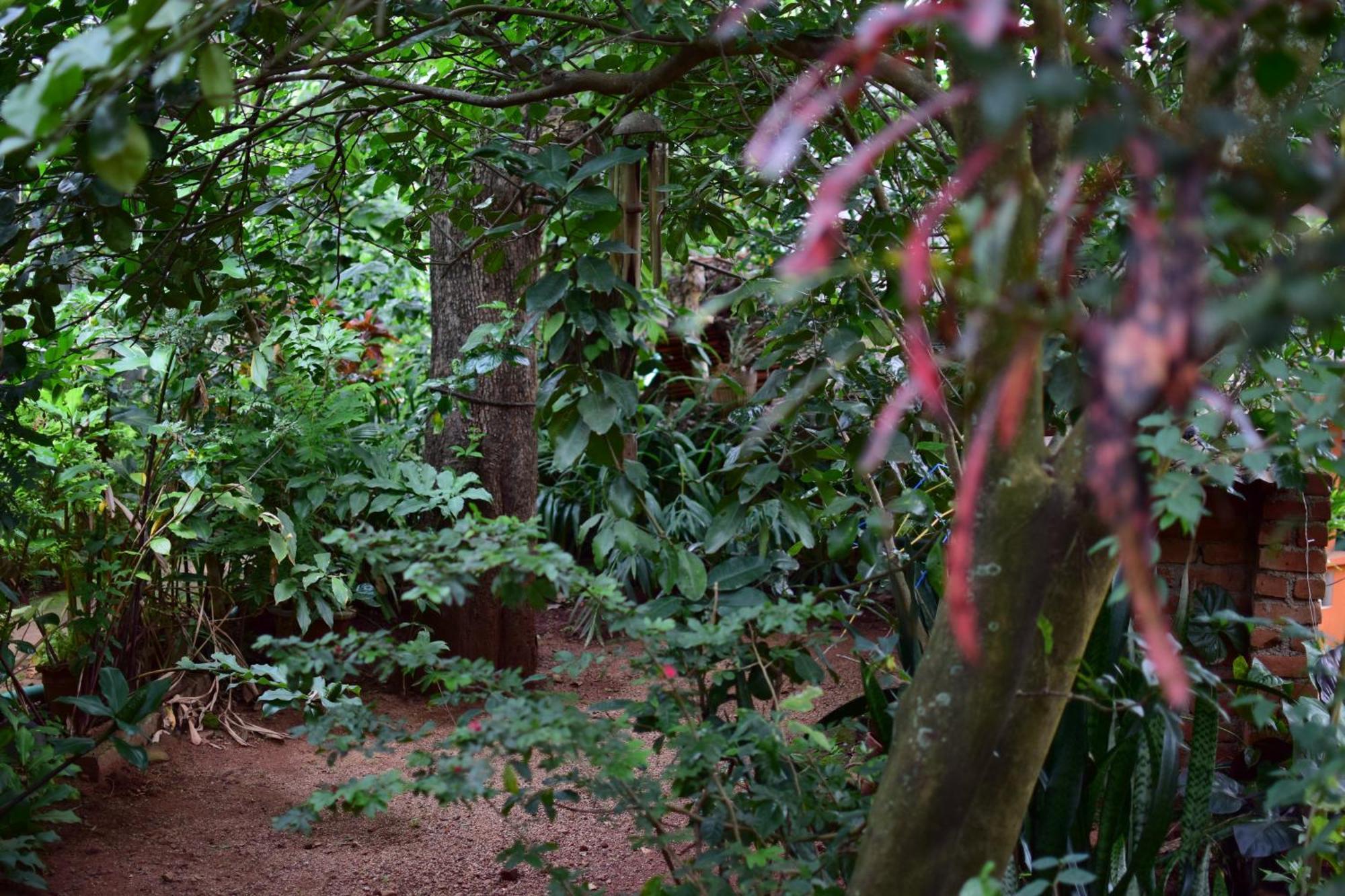 Silent Waters Resorts Yelagiri Extérieur photo