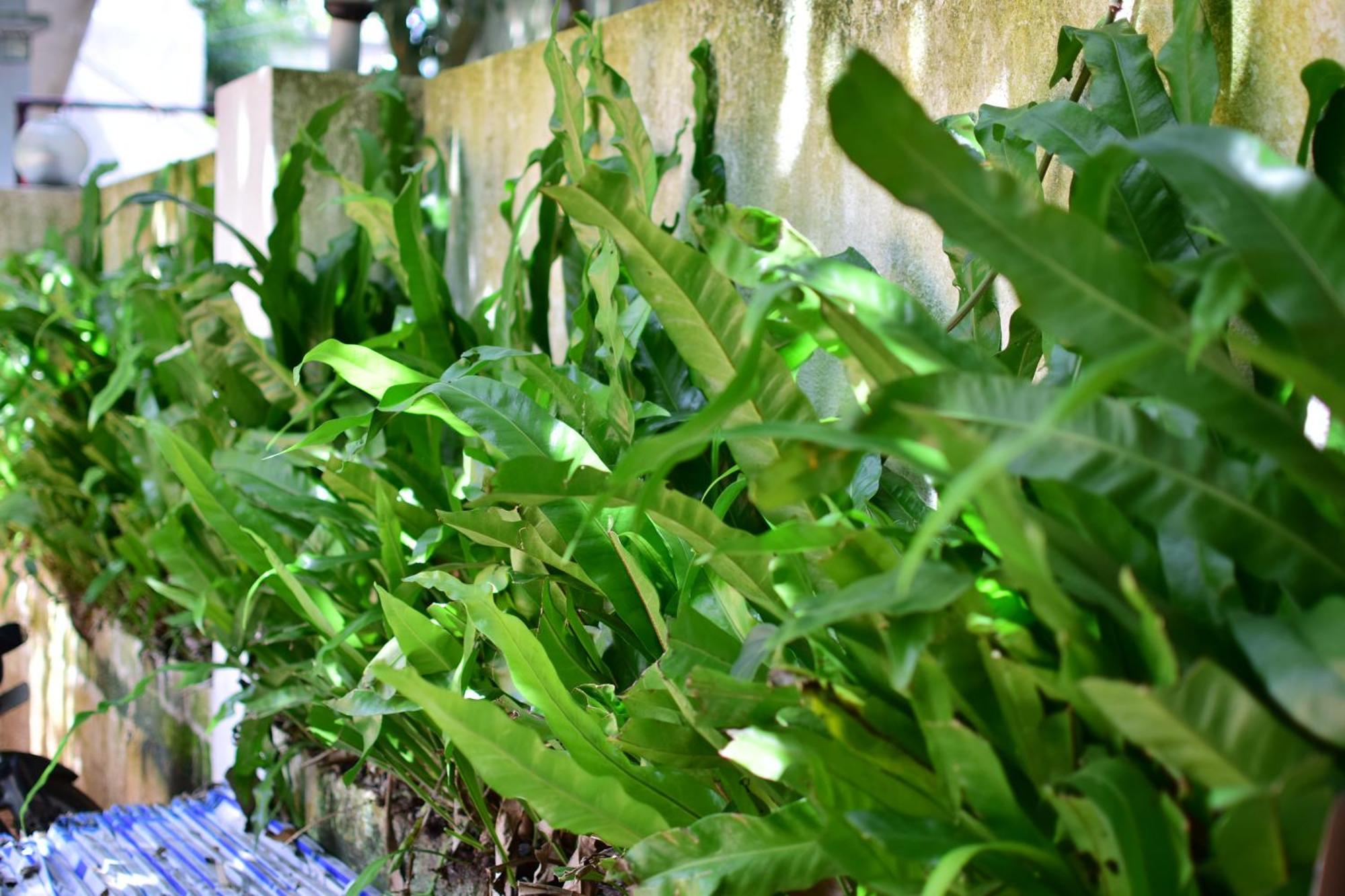 Silent Waters Resorts Yelagiri Extérieur photo